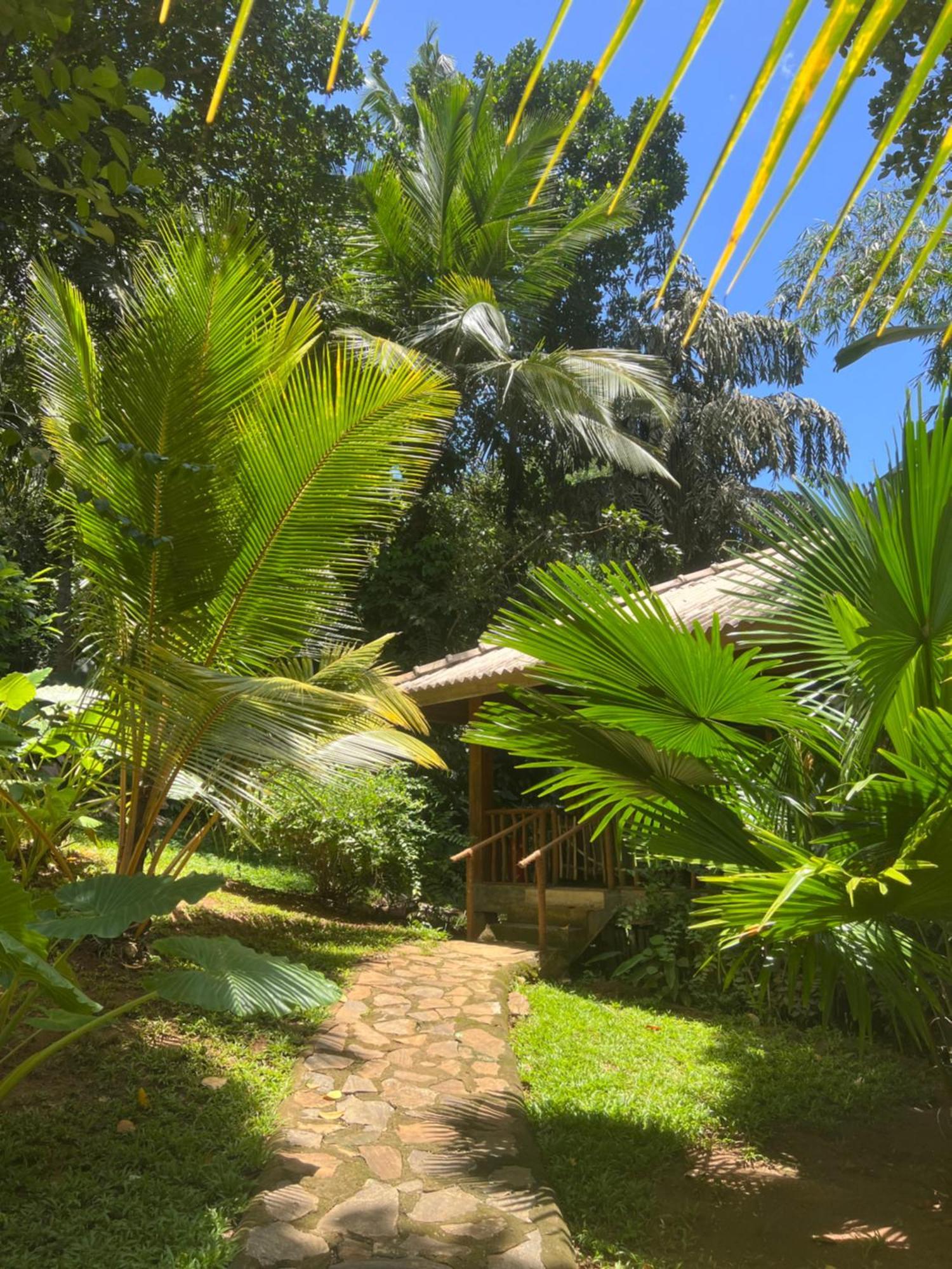 Into The Blue - Yoga Included & Walk To 3 Beaches Tangalle Exterior photo
