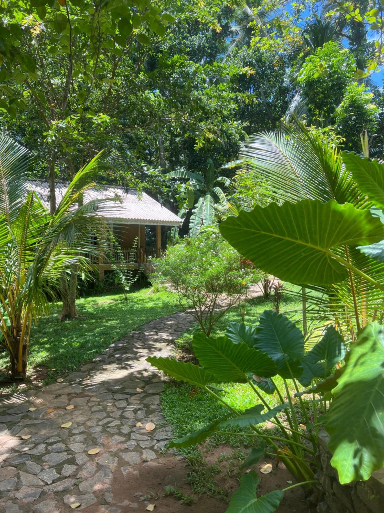 Into The Blue - Yoga Included & Walk To 3 Beaches Tangalle Exterior photo