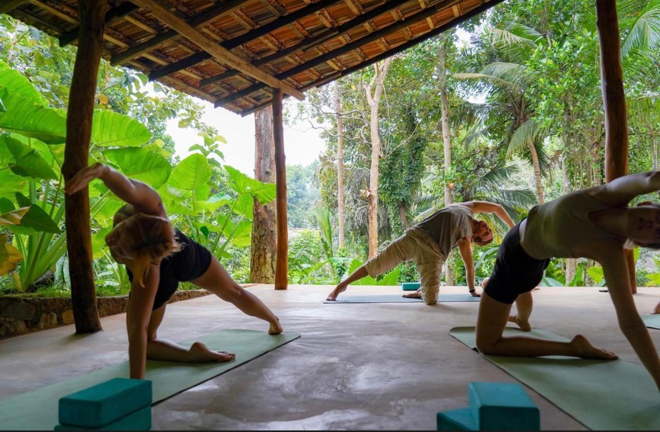 Into The Blue - Yoga Included & Walk To 3 Beaches Tangalle Exterior photo