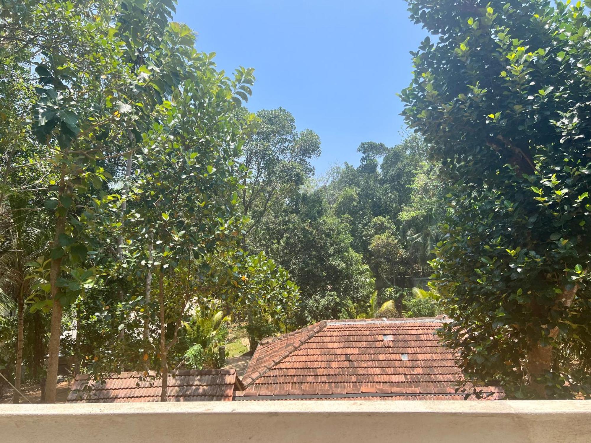 Into The Blue - Yoga Included & Walk To 3 Beaches Tangalle Exterior photo
